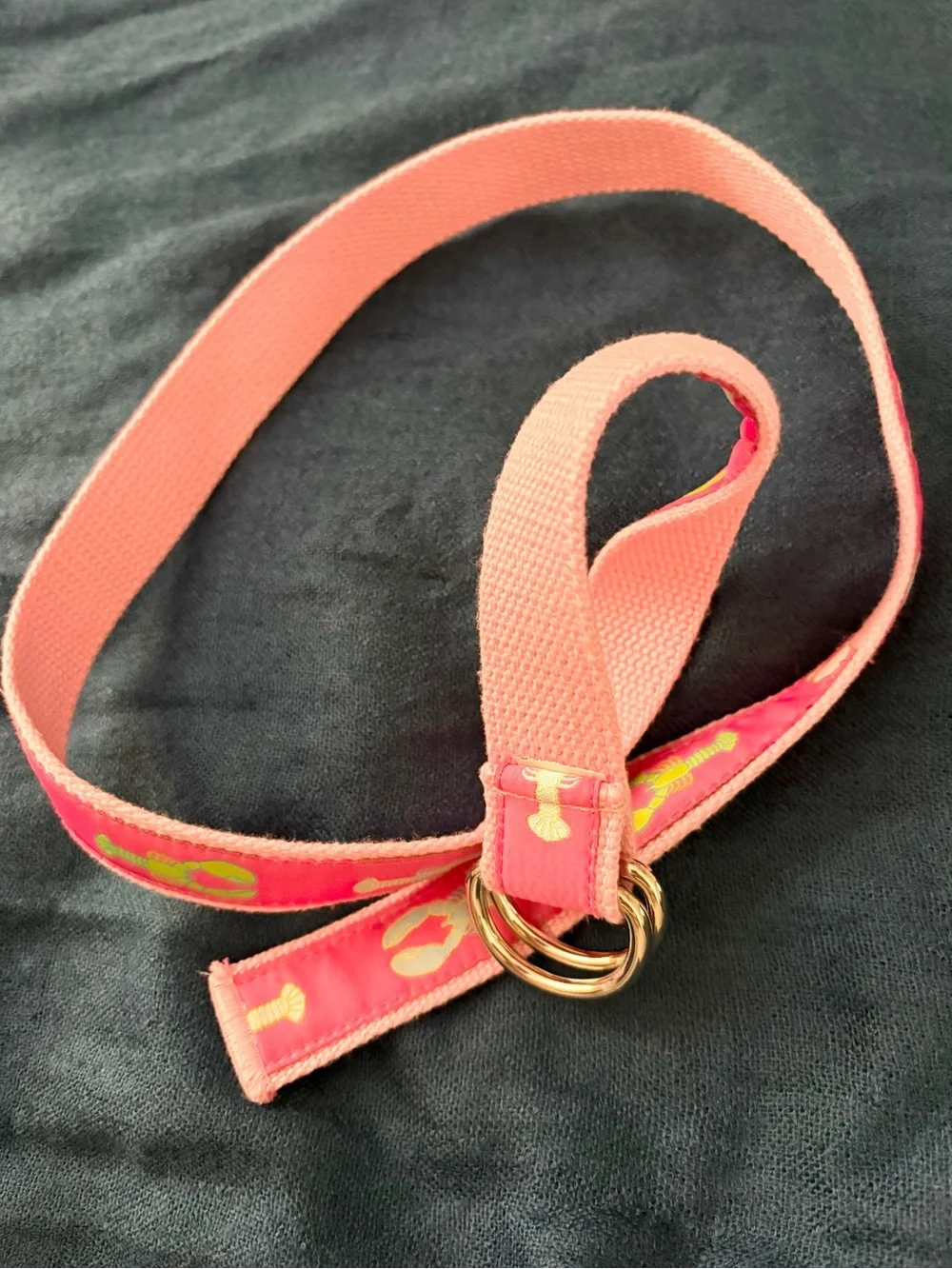 Women’s Canvas Ribbon Lobster Belt by Douglas Paquette